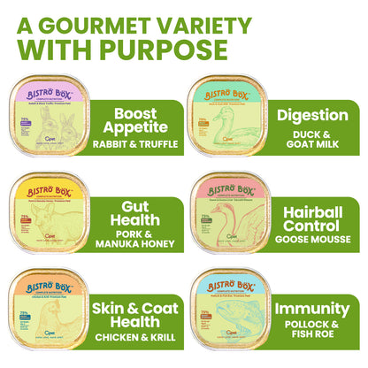 OPET Bistro Box Wet Pate Cat Food