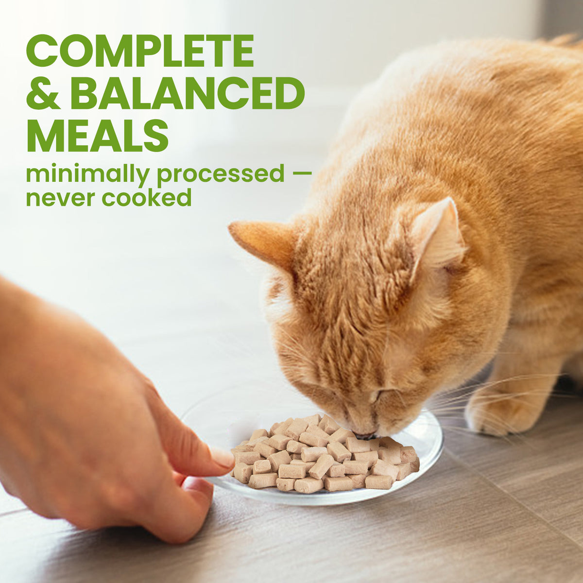 OPET Freeze-Dried Raw Cat Food – Rabbit Recipe with Salmon Oil