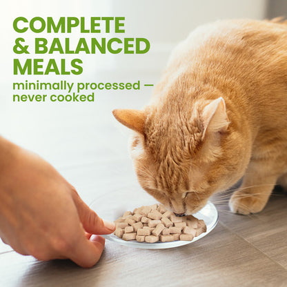 OPET Freeze-Dried Raw Cat Food – Chicken Recipe with Salmon Oil