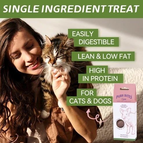 OPET パーバイツ フリーズドライ猫用おや 豚肉 42g
