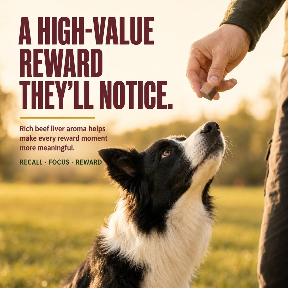 OPET Freeze Dried Beef Liver Treats for Dogs & Cats